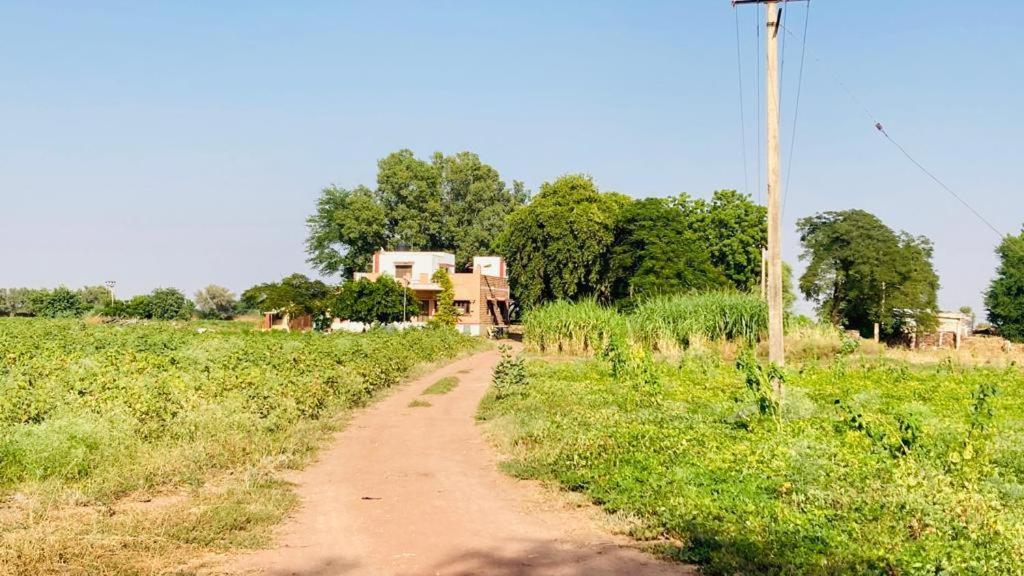 Ananya Farms Paradise Jodhpur  Eksteriør billede