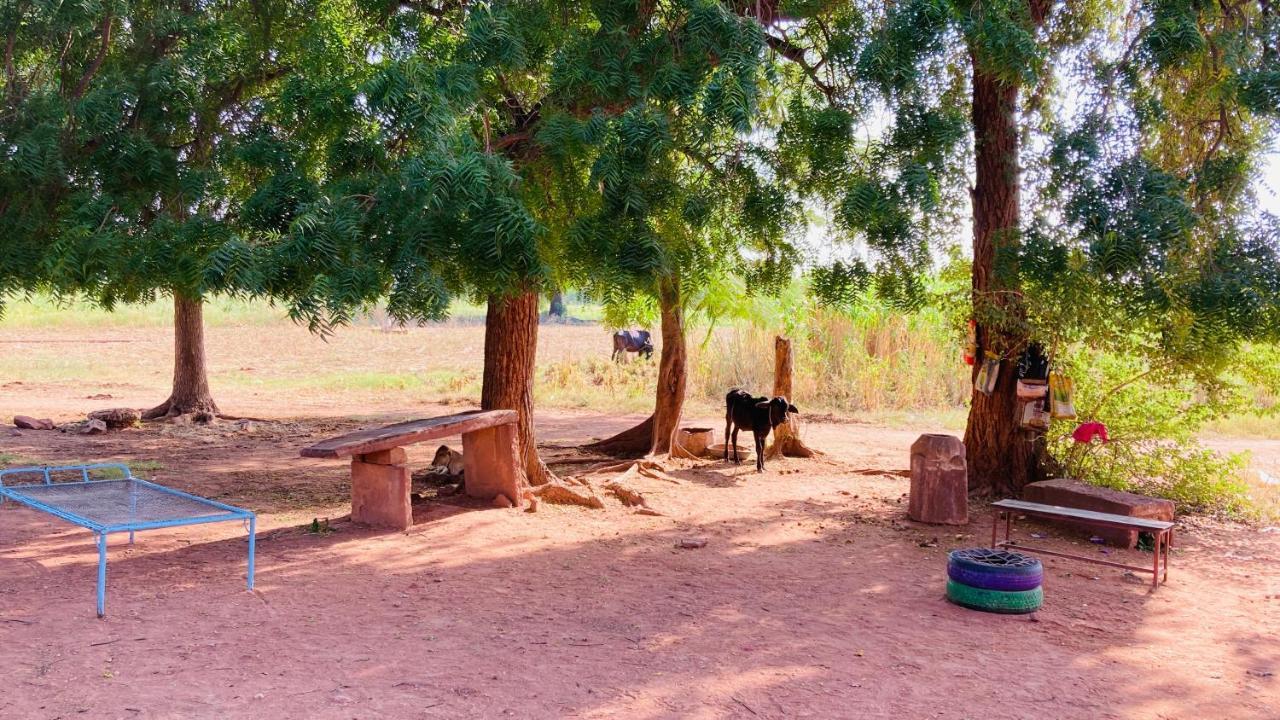 Ananya Farms Paradise Jodhpur  Eksteriør billede